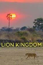 Watch Lion Kingdom 5movies