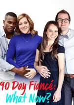 Watch 90 Day Fiancé: What Now? 5movies