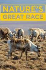 Watch Nature's Great Race 5movies