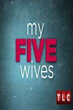 Watch My Five Wives 5movies