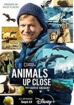 Watch Animals Up Close with Bertie Gregory 5movies