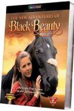 Watch The New Adventures of Black Beauty 5movies