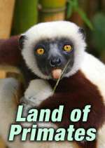 Watch Land of Primates 5movies