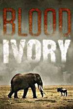 Watch Blood Ivory 5movies