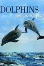 Watch Dolphins: Spy in the Pod 5movies