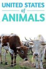 Watch United States of Animals 5movies