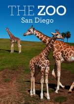 Watch The Zoo: San Diego 5movies