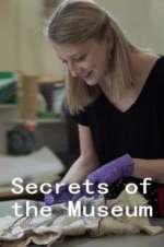 Watch Secrets of the Museum 5movies