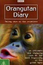 Watch Orangutan Diary 5movies