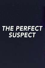 Watch The Perfect Suspect 5movies
