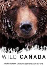 Watch Wild Canada 5movies