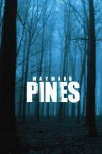 Watch Wayward Pines 5movies