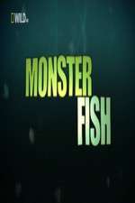 Watch National Geographic Monster Fish 5movies