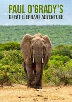 Watch Paul O'Grady's Great Elephant Adventure 5movies