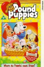 Watch Pound Puppies 5movies
