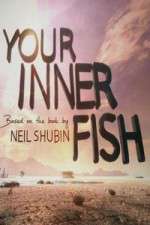 Watch Your Inner Fish 5movies