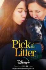 Watch Pick of the Litter 5movies