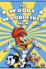 Watch The Woody Woodpecker Show 5movies