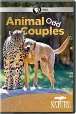 Watch Animal Odd Couples 5movies