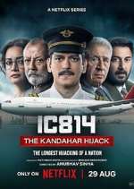 Watch IC 814: The Kandahar Hijack 5movies