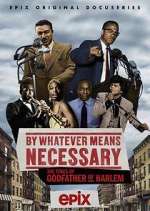 Watch By Whatever Means Necessary: The Times of Godfather of Harlem 5movies