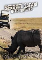 Watch Secret Safari: Into the Wild 5movies