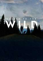 Watch Called to the Wild 5movies