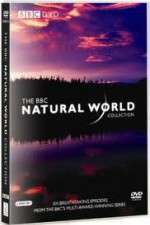 Watch The Natural World 5movies