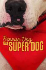 Watch Rescue Dog to Super Dog (US) 5movies