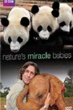 Watch Natures Miracle Babies 5movies