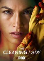 Watch The Cleaning Lady 5movies