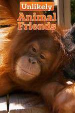 Watch Unlikely Animal Friends 5movies