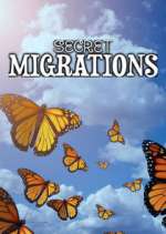 Watch Secret Migrations 5movies