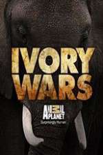 Watch Ivory Wars 5movies