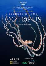 Secrets of the Octopus 5movies