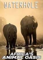 Watch Waterhole: Africa's Animal Oasis 5movies