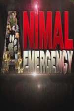 Watch Animal Emergency 5movies