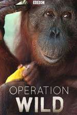 Watch Operation Wild 5movies