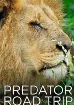 Watch Predator Road Trip 5movies