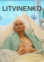 Watch Litvinenko 5movies