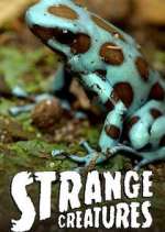 Watch Strange Creatures 5movies