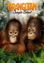 Watch Orangutan Jungle School 5movies