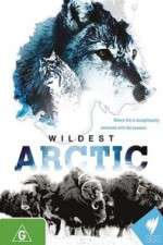 Watch Wildest Arctic 5movies