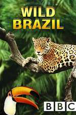 Watch Wild Brazil 5movies