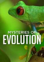 Watch Mysteries of Evolution 5movies