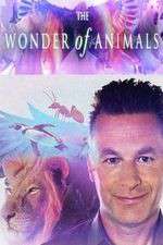 Watch The Wonder of Animals 5movies