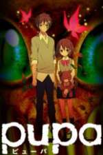 Watch Pupa 5movies