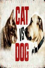 Watch Cat vs. Dog 5movies