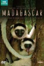 Watch Madagascar 5movies