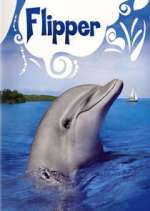 Watch Flipper 5movies